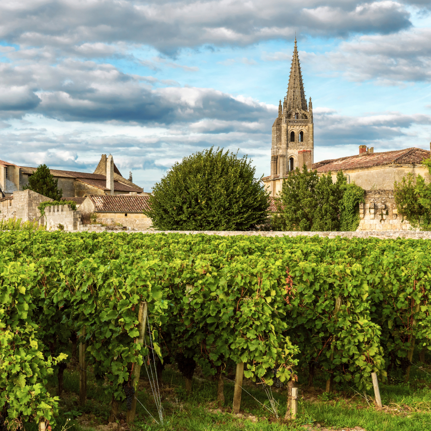 Taste of Bordeaux